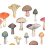 Mushroom Watercolour Print, thumbnail 3 of 3