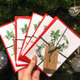 The Holly And The Ivy Designer Christmas Card Packs, thumbnail 2 of 4