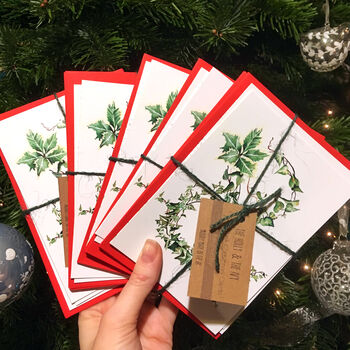 The Holly And The Ivy Designer Christmas Card Packs, 2 of 4