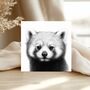 Hand Drawn Red Panda Wildlife Greeting Card, thumbnail 2 of 6