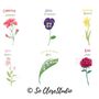 Birth Flowers Family Garden Personalised Print, thumbnail 4 of 4