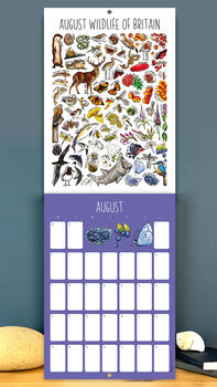 2027 British Wildlife Wall Calendar, 8 of 9