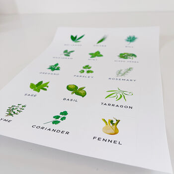 Sheet Of 15 Illustrated Colour Herb Labels, 8 of 8