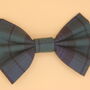 Blue Tartan Dog Bow Tie, thumbnail 1 of 3