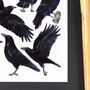 Crows Wildlife Watercolour Postcard, thumbnail 7 of 9