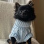 Powder Blue/Peppermint Cosy Knit Dog Jumper, thumbnail 5 of 12