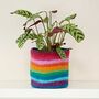 Felt Handmade Rainbow Plant Pot Cover, thumbnail 1 of 2