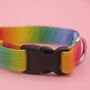 Rainbow Ombre Dog Collar, thumbnail 8 of 9