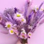 Lilac Dried Flower Arrangement With Daisies, thumbnail 1 of 4