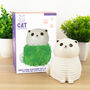 Grow Your Own Cat Chia Planter, thumbnail 1 of 5