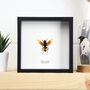 Yellow Banded Hornet Handcrafted Frame, thumbnail 1 of 3