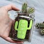Personalised 'Don't Kill Me' Cactus Jar Grow Kit, thumbnail 2 of 11