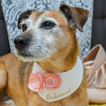 Personalised Dog Wedding Flower Bandana, 11 of 12