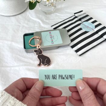 Positive Message Keyring Gift Various Designs Available, 8 of 12