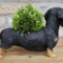 28cm Dachshund Sausage Dog Novelty Pot Indoor Outdoor, thumbnail 2 of 5