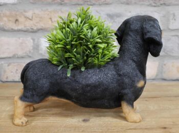 28cm Dachshund Sausage Dog Novelty Pot Indoor Outdoor, 2 of 5