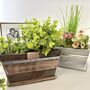 Personalised Wooden Pot Planter, thumbnail 4 of 8