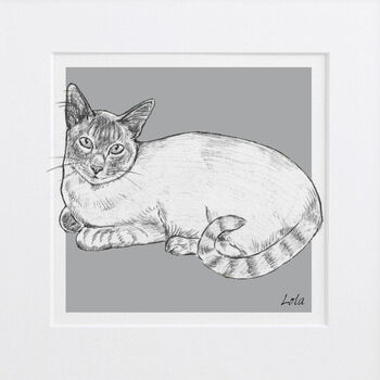 Bespoke Cat Portrait, 6 of 11