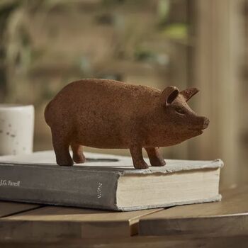 Rusty Pig, 2 of 5