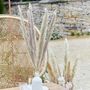 Pampas Grass Stems 90 Cm Bleached Or Natural, thumbnail 3 of 5