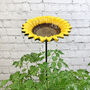 Set Of Two Cast Iron Sunflower Dish Bird Feeders, thumbnail 3 of 4