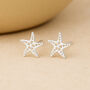 Sterling Silver Starfish Stud Earrings, thumbnail 1 of 10