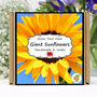 Gardening Gift. Giant Sunflower Growing Kit, thumbnail 1 of 6