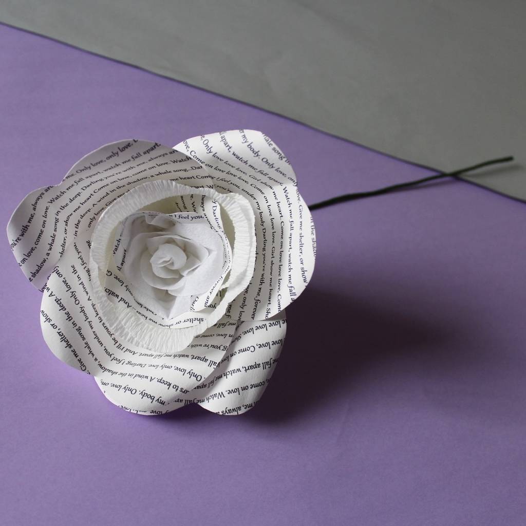 The white rose essay picture