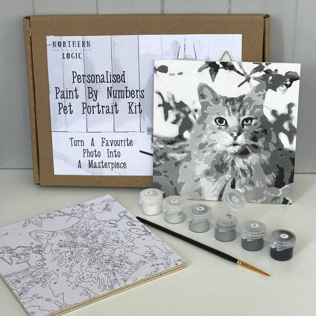 Personalised Paint By Numbers Pet Portrait Kit By Northern Logic Notonthehighstreet Com