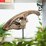 Large Hand Painted Parasaurolophus Skull Dinosaur Sculpture Museum Quality 3D Resin Fossil Model On Black Metal Stand, Statement Home Decor, thumbnail 1 of 4