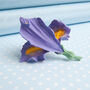 Hand Painted Iris Brooch In A Choice Of Two Colours, thumbnail 2 of 3