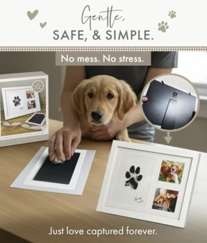 Paw Print Ink Keepsake Photo Frame Kit, 11 of 12