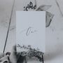 Alice Table Number And Name Cards, thumbnail 1 of 3