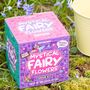 Grow Your Own Mystical Fairy Flowers, thumbnail 1 of 2