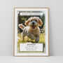 Personalised Pet Loss Dog Memorial Photo Print Wall Art, thumbnail 1 of 5