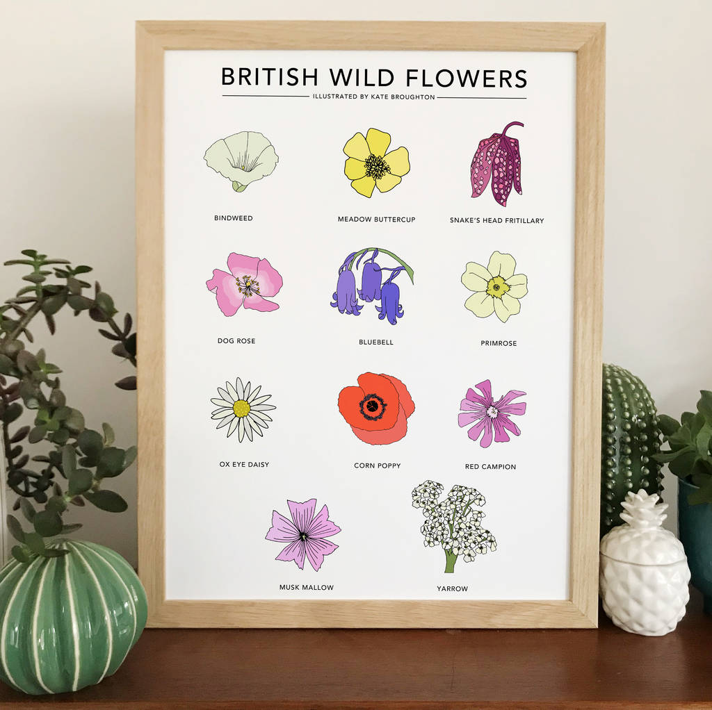 'british Wild Flowers' Print By Kate Broughton