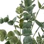 Eucalyptus In Soil, thumbnail 6 of 8