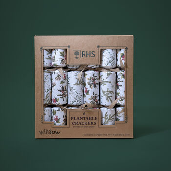 Plantable Christmas Crackers, 3 of 6
