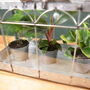Mini Indoor Greenhouse With Plants Victorian Style, thumbnail 8 of 8