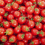 Tomato Seeds 'Tumbling Tom Red' 12 X Seed Pack, thumbnail 1 of 5