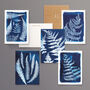 British Ferns Postcard Pack Of Five, thumbnail 1 of 7