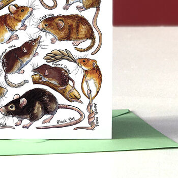 Small Mammals Of Britain Greeting Card, 2 of 7