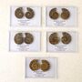 Cleoniceras Ammonite Fossil Pair, thumbnail 2 of 10