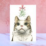 Tabby And White Cat Mistletoe Christmas Card, thumbnail 1 of 2
