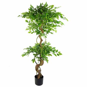 150cm Artificial Japanese Twisted Fruticosa Ficus Tree, 2 of 2
