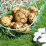 Personalised Grow Your Own Potatoes Gardening Basket, thumbnail 6 of 8