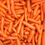 Carrot 'Chantenay' Nine X Plug Plant Pack, thumbnail 6 of 6