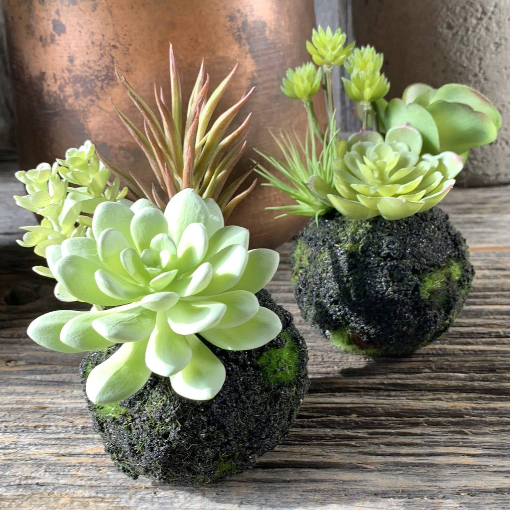 Faux Succulent Plant By London Garden Trading