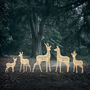 Set Of Five Swinsty Dual LED Light Up Reindeer, thumbnail 4 of 6
