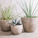 Clay Planter By All Things Brighton Beautiful | notonthehighstreet.com